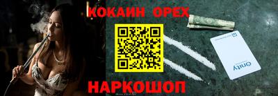 бошки Кингисепп
