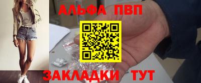 бошки Кингисепп
