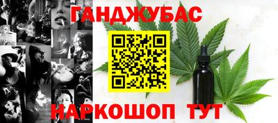 бошки Кингисепп