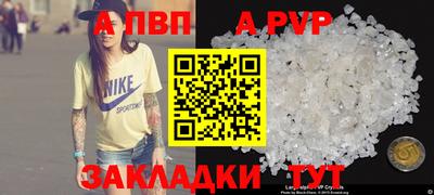 бошки Кингисепп