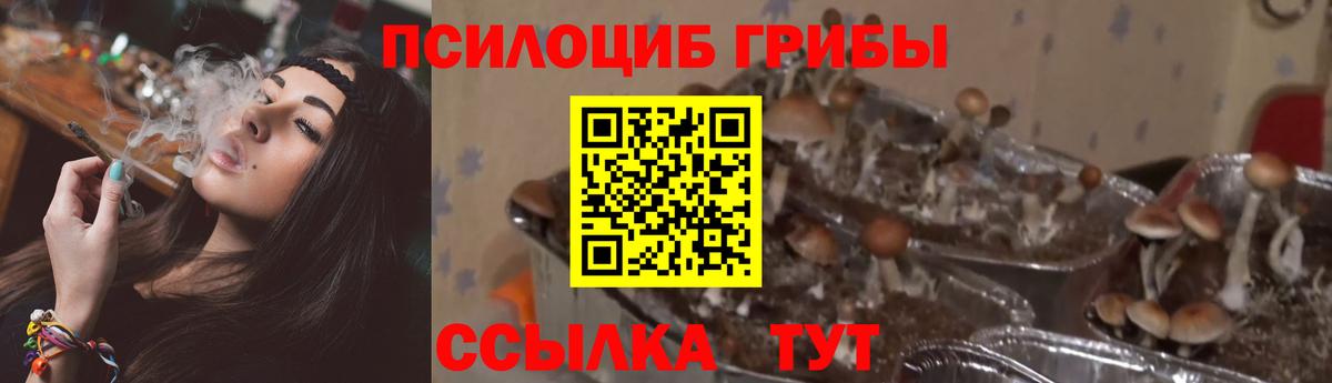 Галлюциногенные грибы мухоморы Чехов