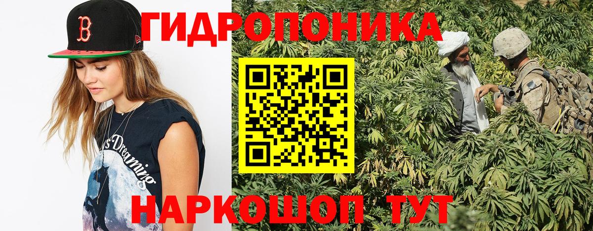 Чехов  Бошки марихуана Amnesia  Шишки марихуана Ganja  Конопля сатива  Марихуана гибрид  Вход с VPN 